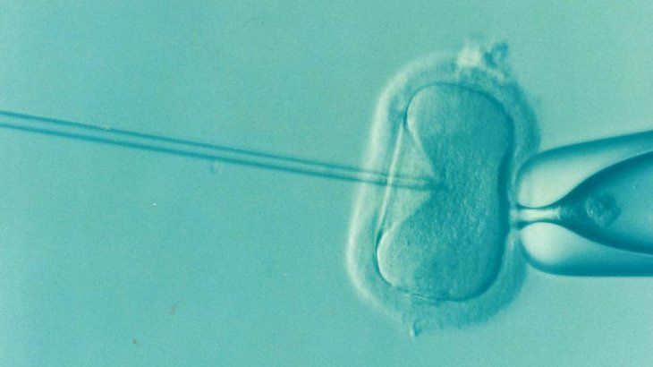 El trabajo del CONICET es el primero en las Américas que demuestra el impacto negativo de las olas de calor en la fertilidad masculina.