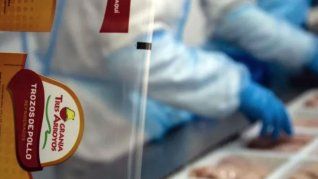 La industria avícola describe la situación de Tres Arroyos como una “reestructuración en tiempo real”. 