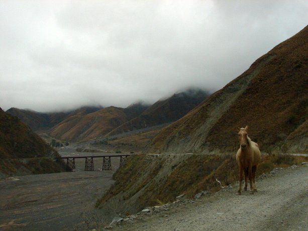 Este lugar ofrece una experiencia única para quienes lo visiten.