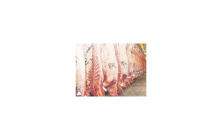 La suba de precios de la carne entre enero 2015 y enero 2016 (50,3%) supera al aumento del precio de la hacienda (46,7%) en Liniers.