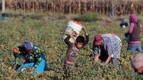 El empleo informal crece progresivamente.
