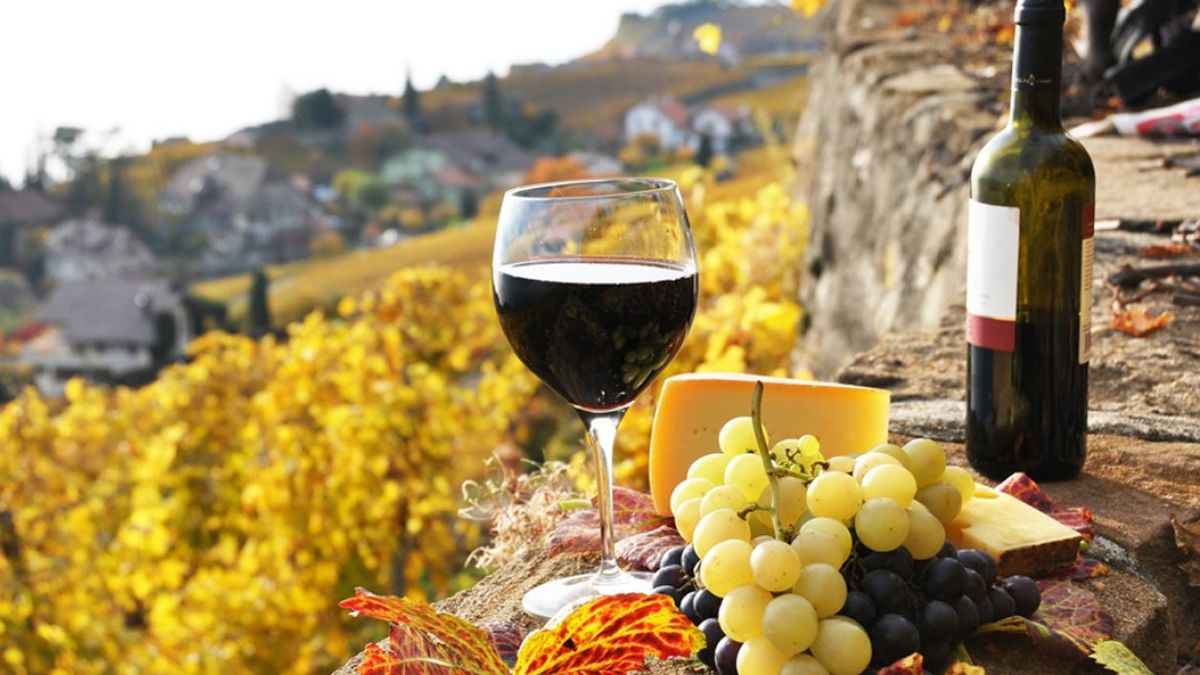 Importaciones de vino en Argentina crecen 339% en 2025