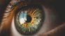 The study analyzed more than a thousand ocular images of minors to train ia systems capable of detecting ADHD signs. The study analyzed more than a thousand ocular images of minors to train ia systems capable of detecting ADHD signs.