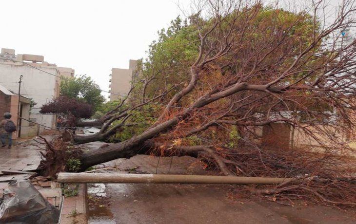 el temporal de viento causo destrozos y danos en el conurbano