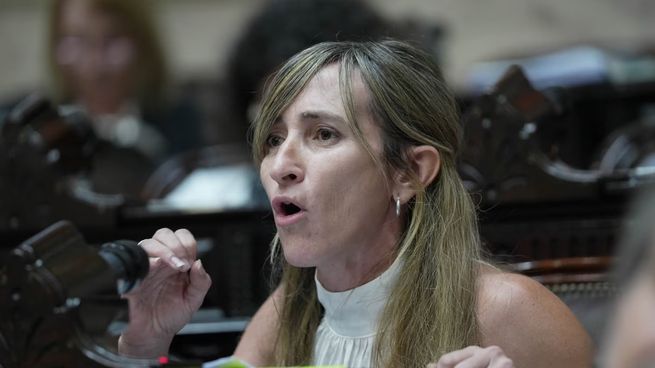 Marcela Llano de La Libertad Avanza quiere limitar el gasto del Congreso nacional.