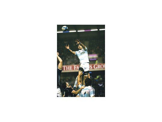 Los Pumas, al Tres Naciones