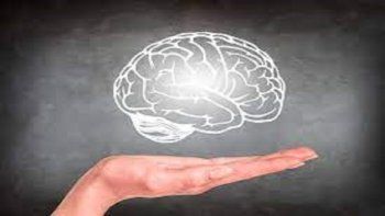 Cerebro y memoria.&nbsp;