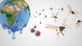 ámbito.com | Dengue mundo Covid.jpg