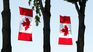 The Ministry of Immigration, Refugees and Citizenship of Canada selected Uruguay for its Electronic Travel Authorization (eTA) Program.