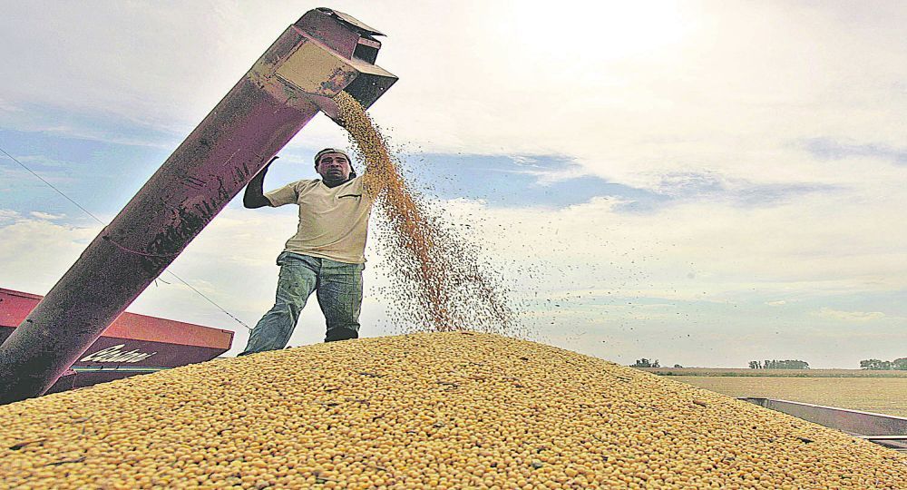 Todavía restan venderse alrededor de 24 millones de toneladas de la campaña 2021/22.