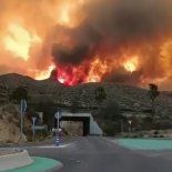 Las muertes parecían haberse producido cuando algunas personas decidieron intentar evacuar en sus vehículos.