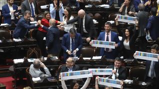 ámbito.com | Boleta Única de Papel Diputados