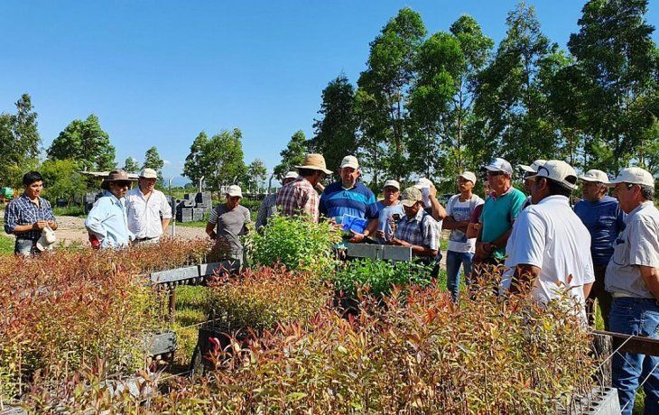 Renatre prorroga hasta fin de año plan de facilidades de pago de deudas para empleadores rurales