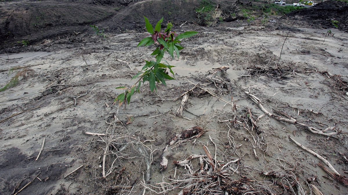 Uruguay would lose up to 14% of its GDP due to climate change