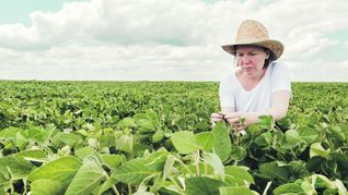 ámbito.com | pag 2- mujeres campo.jpg