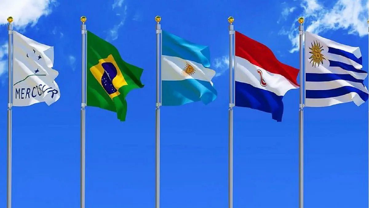 What are the advantages and disadvantages of belonging to Mercosur?
