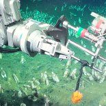 La expedición anterior del CONICET fue un éxito rotundo y alcanzó más de 70.000 espectadores simultáneos. La expedición anterior del CONICET fue un éxito rotundo y alcanzó más de 70.000 espectadores simultáneos.