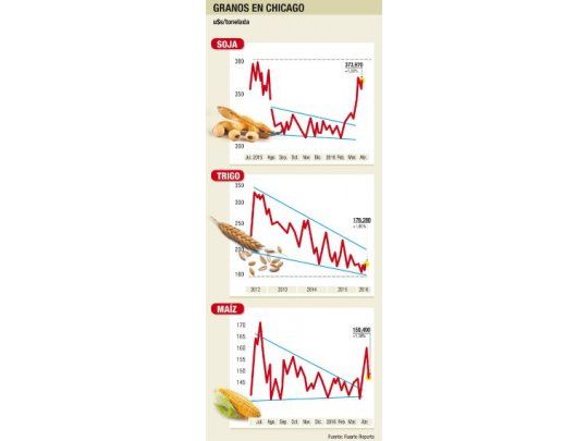 La soja subió un 1,8% en Chicago