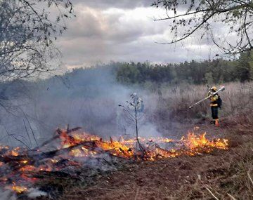 Ordenó a las jurisdicciones a implementar el Plan Integral Estratégico para la Conservación y Aprovechamiento Sostenible del Delta. Ordenó a las jurisdicciones a implementar el Plan Integral Estratégico para la Conservación y Aprovechamiento Sostenible del Delta.