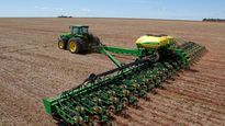 siembra de girasol en santa fe: se preve un aumento del 20% de la superficie