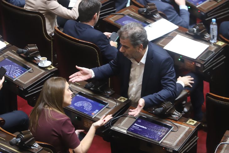 En la votación del proyecto previsional, el PRO votó dividido 