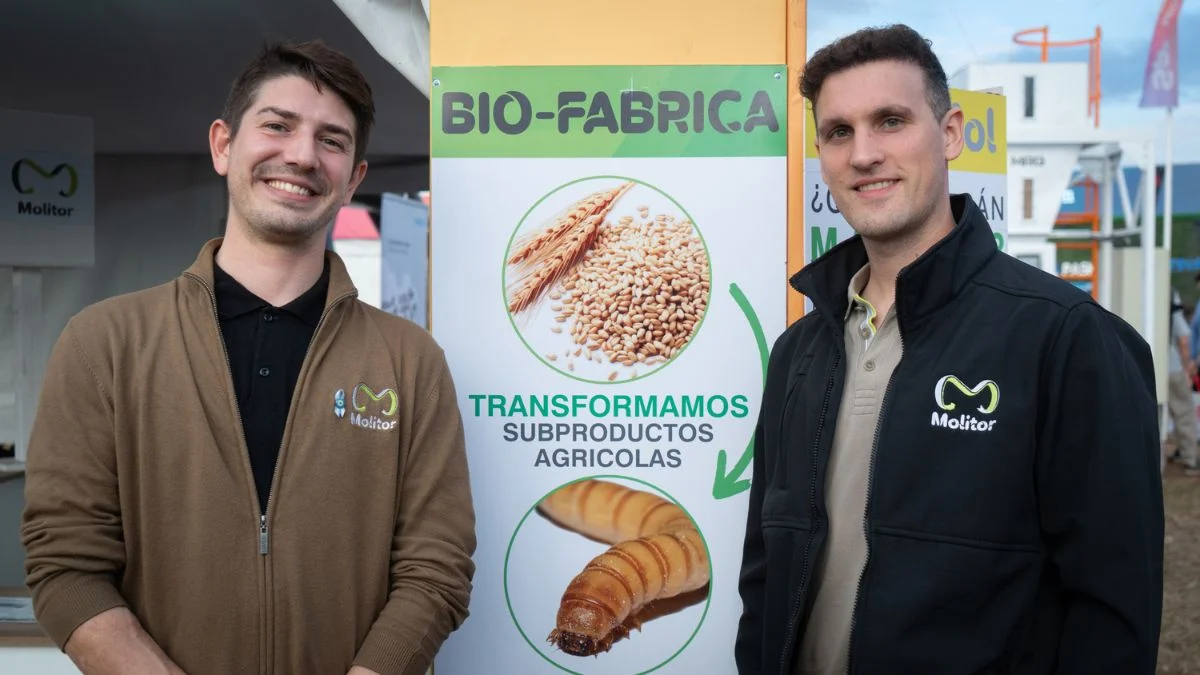 Del gusano a proteína de alto valor: la historia de la startup santafesina que quiere cambiar la nutrición animal