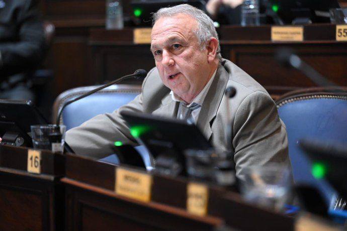 El proyecto presentado por Cuervo indica que serán sancionados aquellos que 