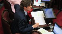 Martín Lousteau, senador y presidente de la Unión Cívica Radical.