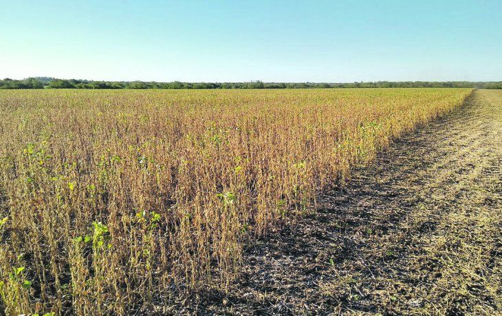 ámbito.com | SEQUIA2.jpg