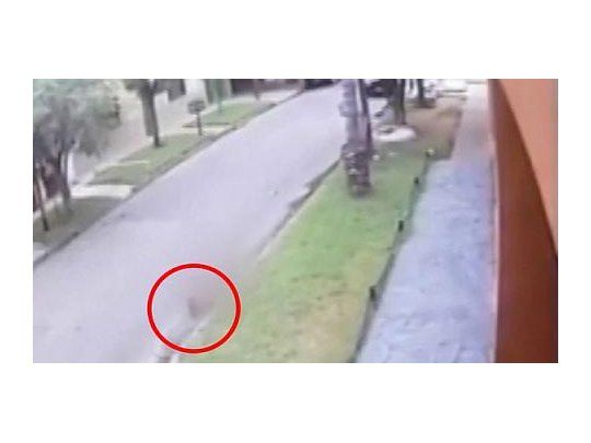 Un nene de 5 años fue atropellado por motochorros y está grave