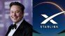Elon Musk enfrentó en una misma semana la caída de acciones de Tesla y la falla global del servicio de Internet satelital Starlink.