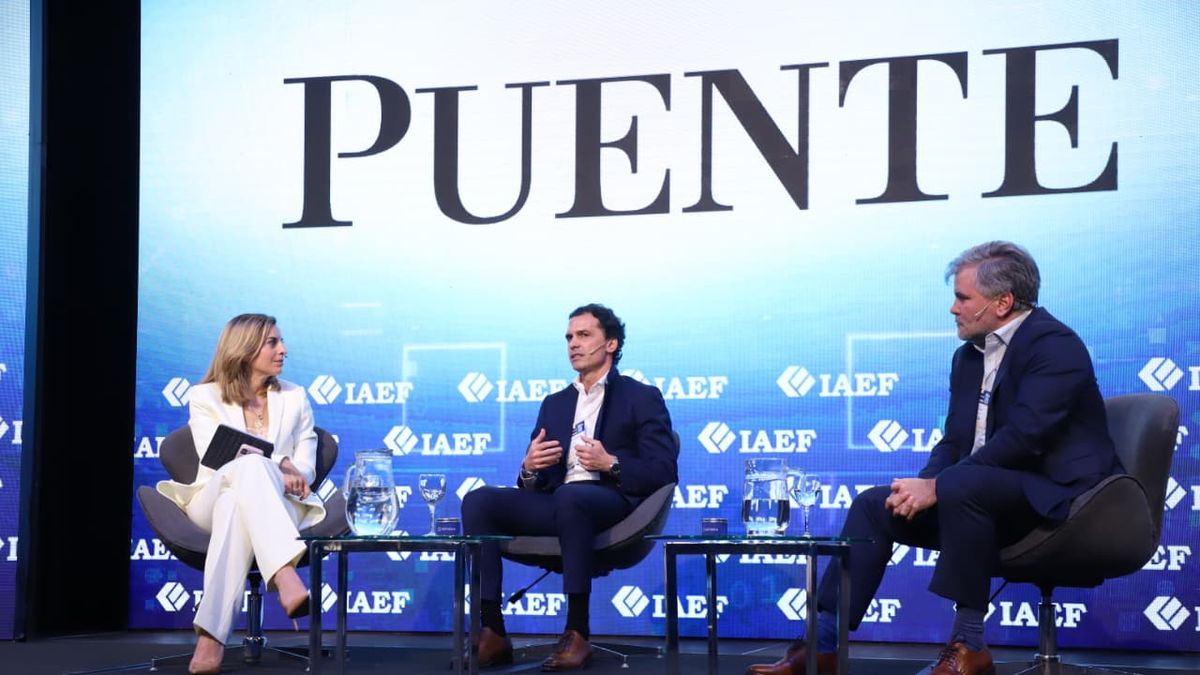 Proyectos RIGI: aseguran que el financiamiento está garantizado y proponen sumar al fondo de la Anses