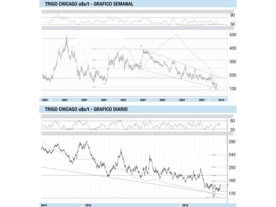 Trigo, una posible reversión de precios de largo plazo