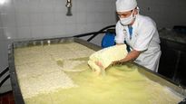 buscan convertir los desechos de la industria lactea en biocombustible