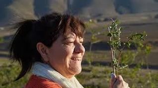 Liliana Juárez protagoniza Muña Muña, de Paula Morel Kristof, que se presenta en el Gaumont. Liliana Juárez protagoniza Muña Muña, de Paula Morel Kristof, que se presenta en el Gaumont.