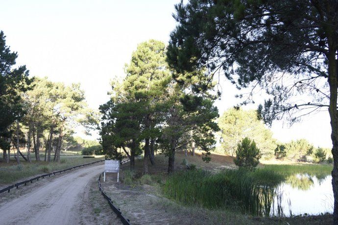 Dueño de un ritmo propio y envidiable blindado por el mar, y entre dunas, espejos de agua y bosques, éste nuevo barrio.