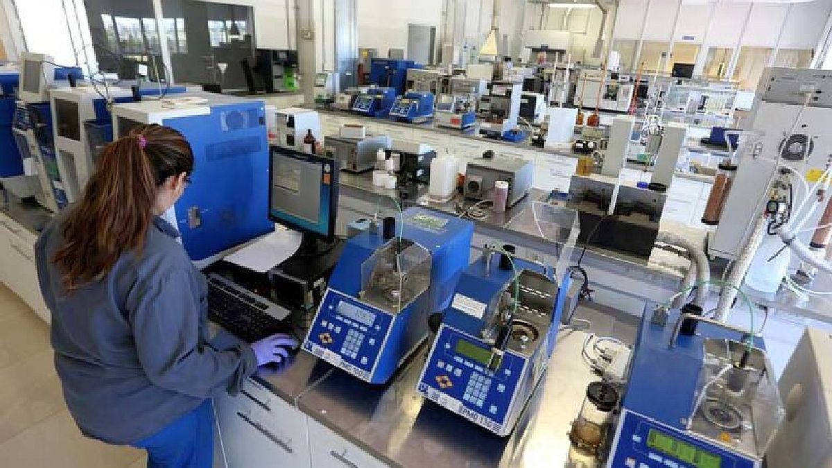The chemical and petrochemical industry closed 2022 with an increase in production