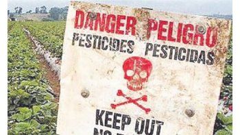 Casi todos los países cuentan hoy con una legislación sobre plaguicidas y los productos están en general mejor etiquetados. Además, los pesticidas más tóxicos han sido retirados del mercado en muchos lugares.