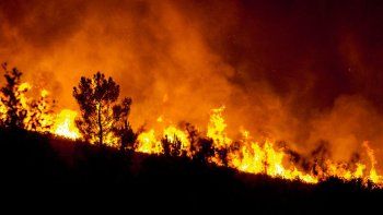 corrientes, entre rios y chubut registran focos activos de incendios forestales