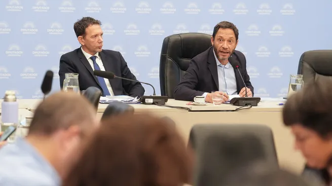Ferraro presidirá la comisión investigadora integrada por 28 miembros.