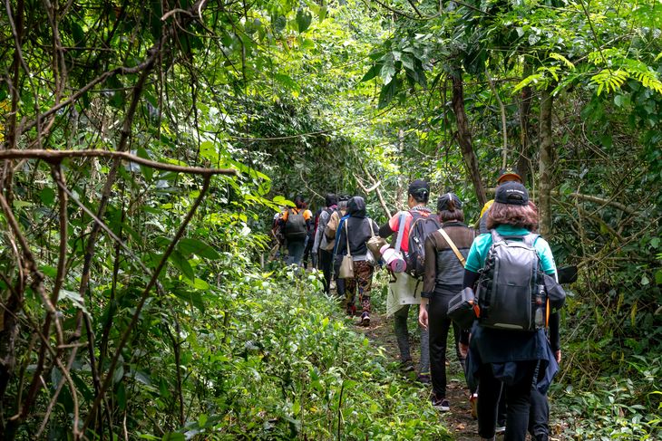 Survivor Expedition Robinson will return to the Telefe screen Survivor Expedition Robinson will return to the Telefe screen