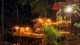 Las cabañas de Puebla escondidas en la altura de los árboles y rodeadas de neblina para visitar en mayo 2026 Las cabañas de Puebla escondidas en la altura de los árboles y rodeadas de neblina para visitar en mayo 2026
