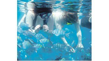 ámbito.com | Los diversos tipos de buceo reinan en las playas calmas y el surf en las bravas.