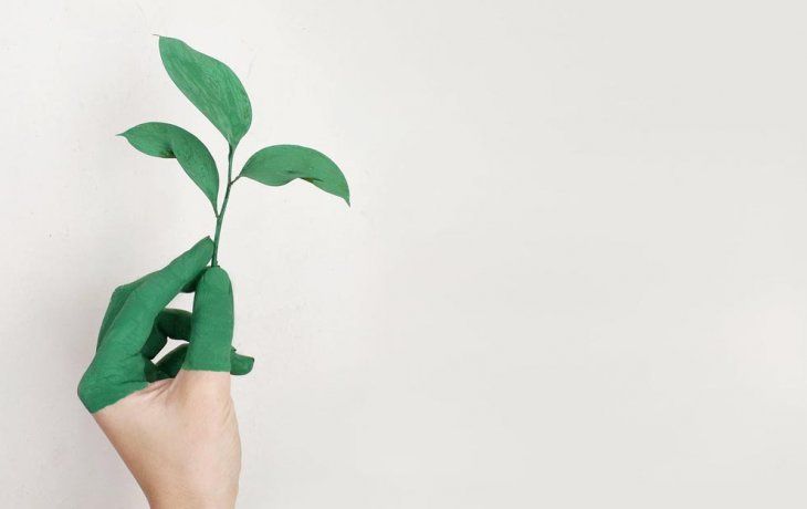 ámbito.com | Sustentabilidad.jpg