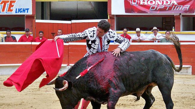 Alejandro Hank Amaya se dedica a los toros.