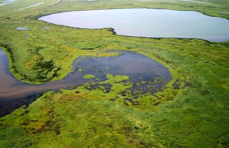 Corredor de humedales.