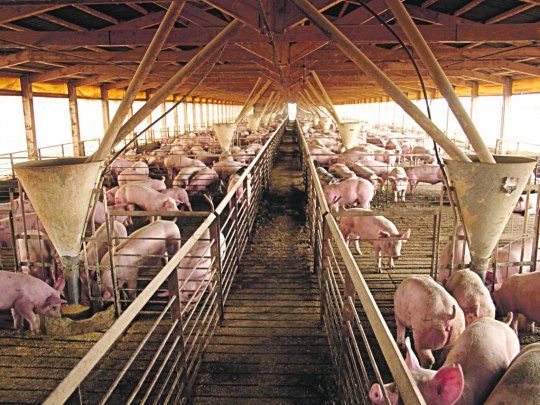 Inversiones. Crece la expectativa en el sector por el virtual despegue de los volúmenes.