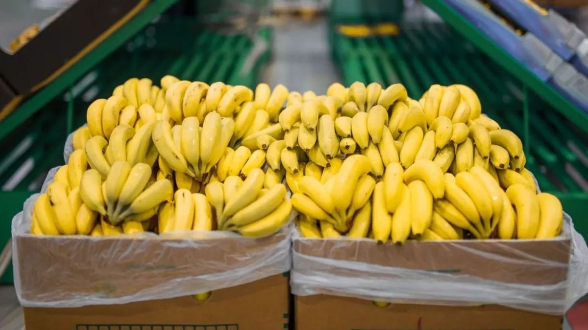 Jujuy y Salta acordaron mantener los controles sanitarios a las importaciones de bananas por la desregulación "inconsulta" del sector