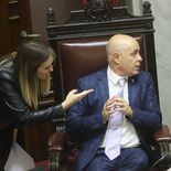 Por contraindicación médica, la senadora no pudo viajar a CABA.