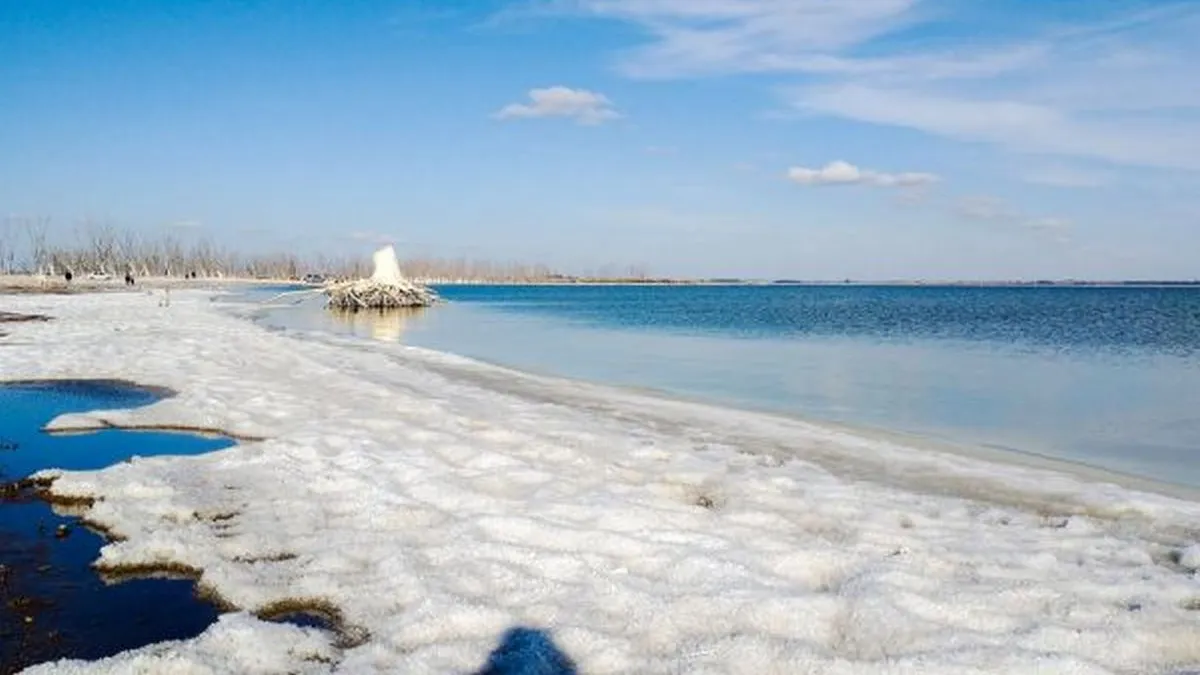 The Dead Sea of ​​Buenos Aires: how to get to the most magical waters in the country